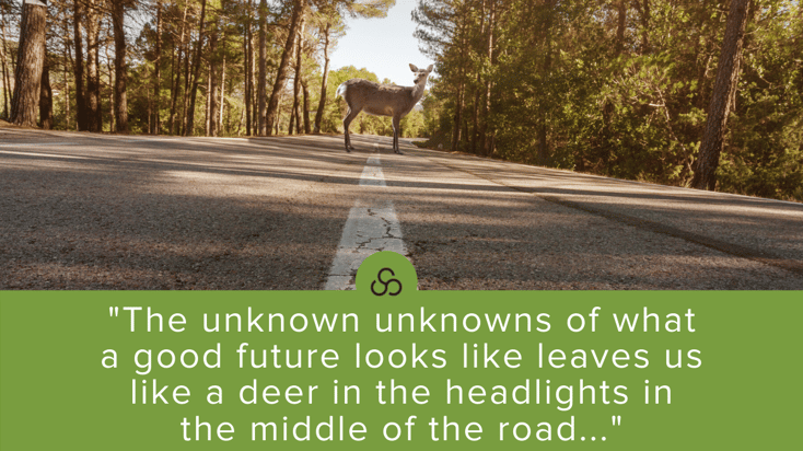 Deer in the road quote