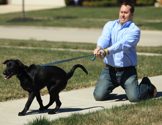 dog_pulling_on_walk