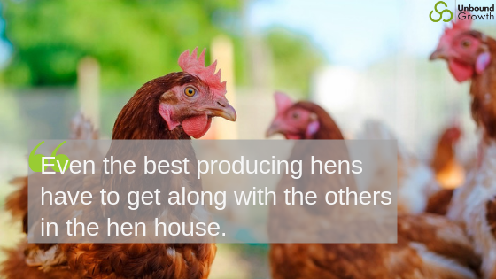 hens and hen house and sales